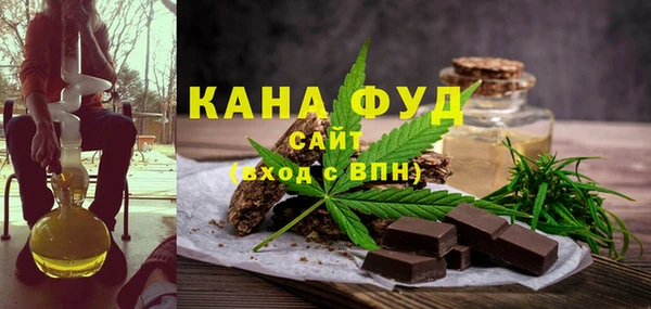 хмурый Алексин