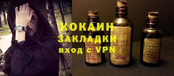 хмурый Алексин