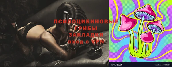 хмурый Алексин