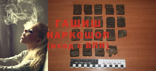 хмурый Алексин
