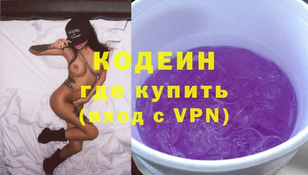 хмурый Алексин