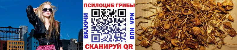 Галлюциногенные грибы ЛСД  Купить где  Сухой Лог 